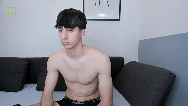 Quentin_Blake webcam