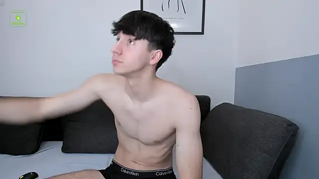 Quentin_Blake webcam