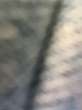 美女luna-sisi在线直播