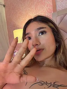 Arianavillada webcam