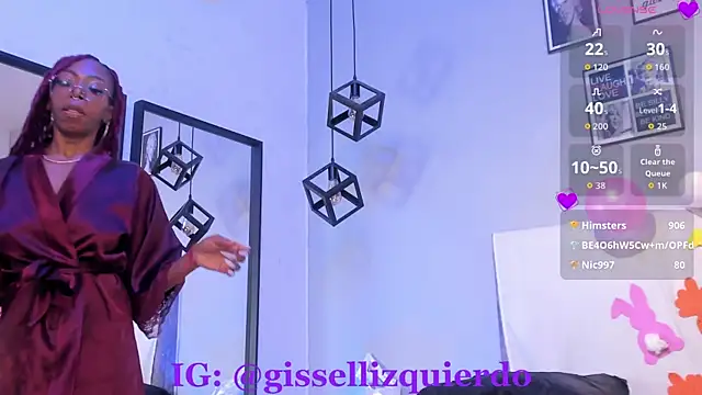 Liincostelloo webcam