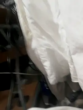 Bulbasaurisme webcam