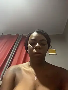 Priihmedeiros webcam