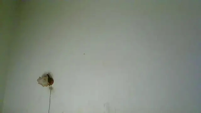 NickiKisinger webcam