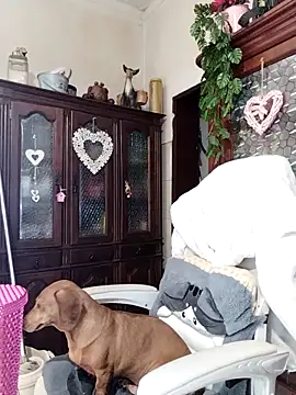 Melmamalhuda@xh webcam