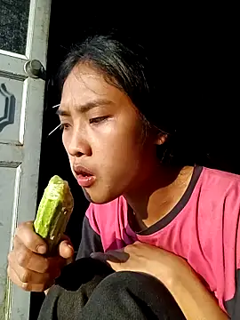 Hoa-tuylip - Live Cam