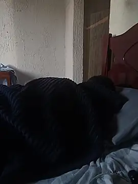 UrsoBissexualPauGrosso webcam