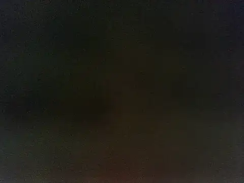 Alphamale3000 webcam