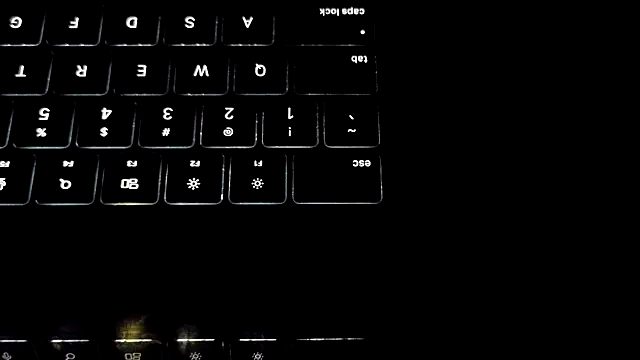 bestofdoseswirls webcam