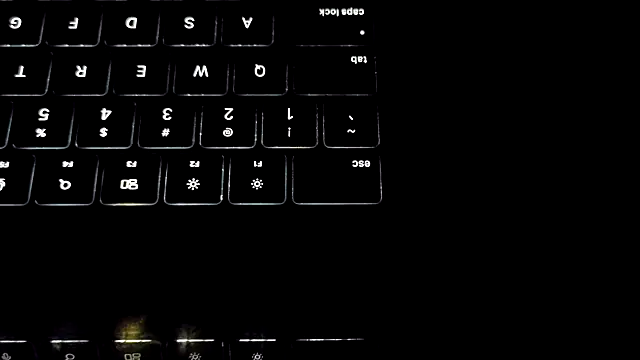 bestofdoseswirls webcam