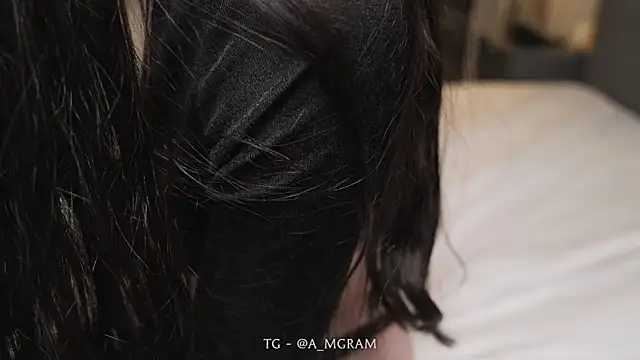 disco_elysium webcam