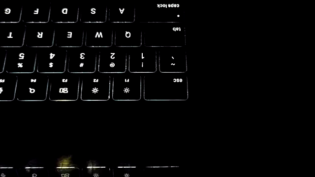 bestofdoseswirls webcam