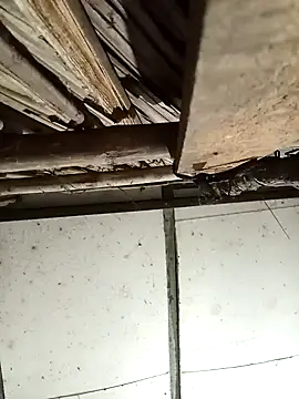 __halen__ - __Halen__'s free webcam - UK Sex Cams