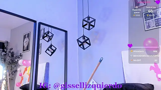 Liincostelloo webcam