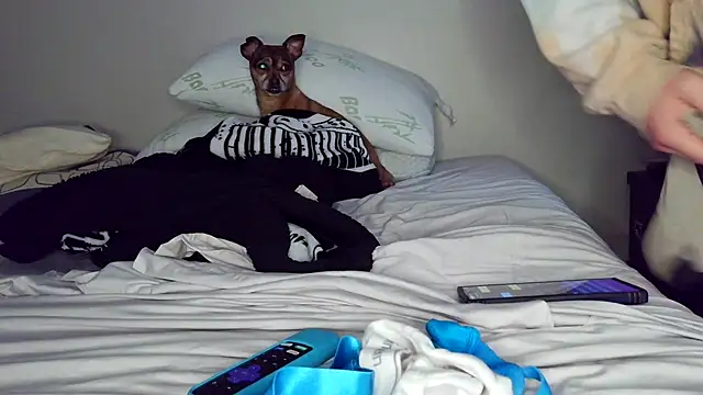 FrankieFuckMe webcam