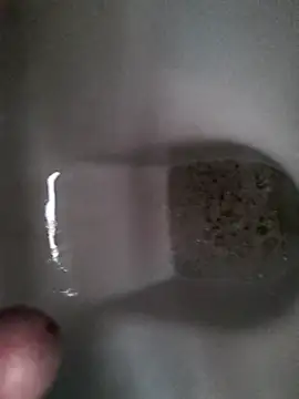 PadroneDolceIta webcam