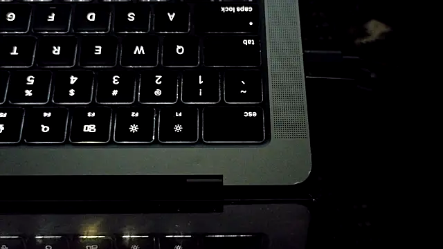 bestofdoseswirls webcam