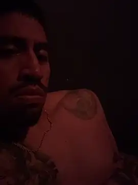 busnfatnutsLildee webcam