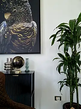 AryaSummersReal webcam