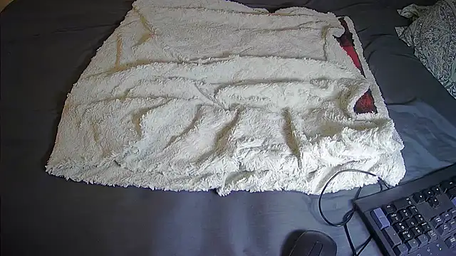 DoubleSpreadXX webcam