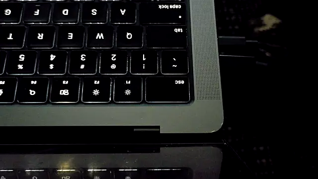 bestofdoseswirls webcam