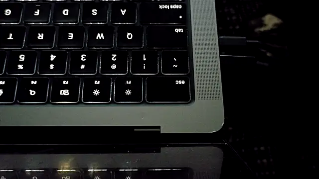 bestofdoseswirls webcam