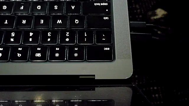 bestofdoseswirls webcam