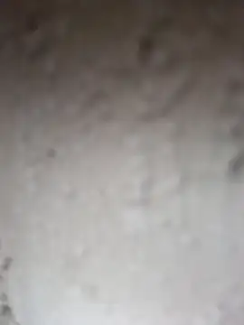 Shreya_pandit webcam