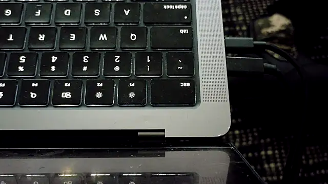 bestofdoseswirls webcam