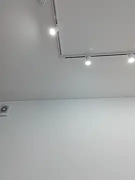 LittleForestELF2 webcam