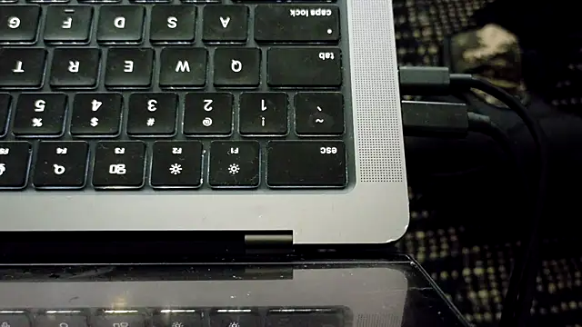 bestofdoseswirls webcam