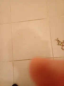 totolescientifique webcam