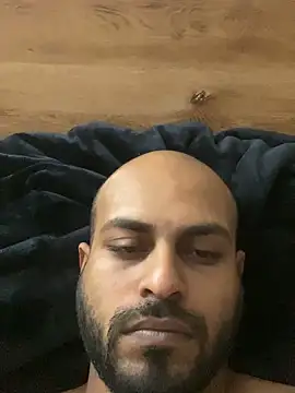 islandvybee55 webcam