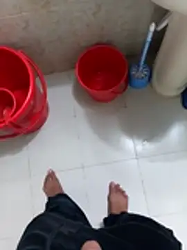 WrinkledTriops webcam