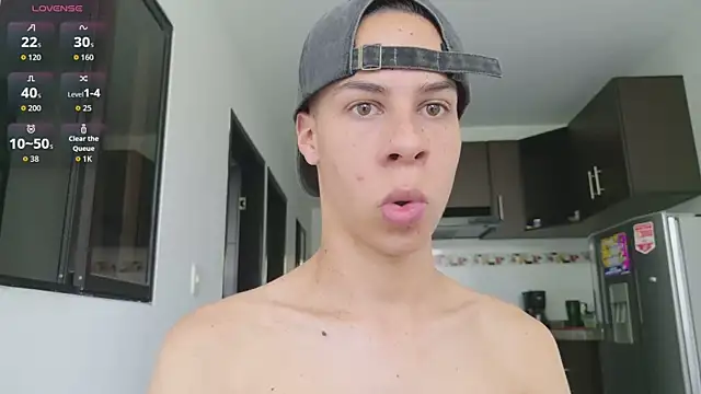 grey___27 webcam preview