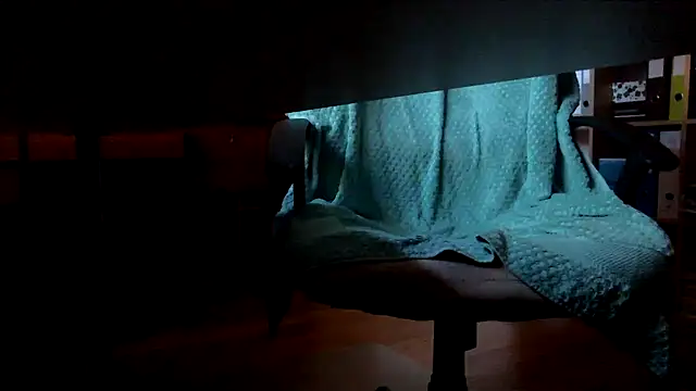 leccaleccafiga webcam