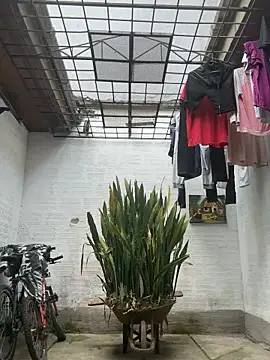 oliver_price1 webcam