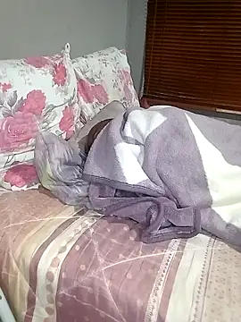 BigGamecharger webcam