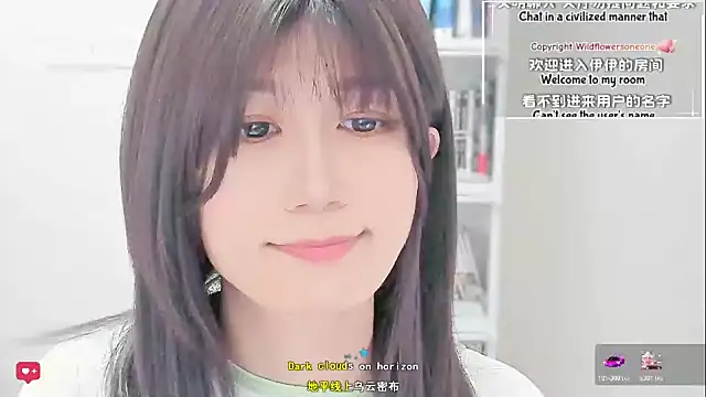 Wildflowersoneone webcam