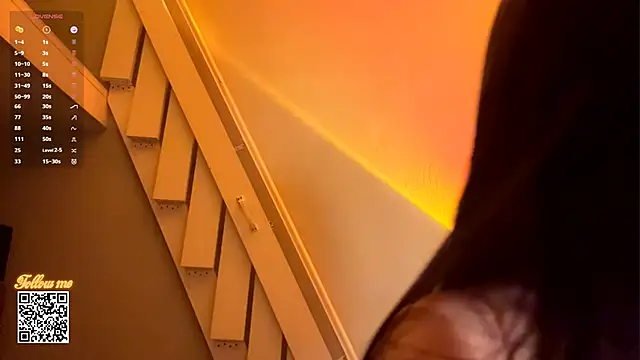 DebraSchneider webcam