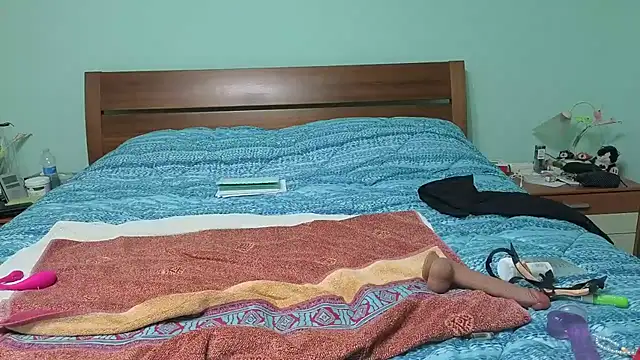 DragonflyExhib webcam