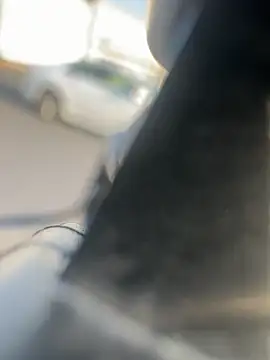 curis4270panda webcam