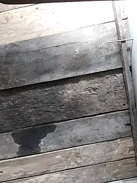 zhen-zo - Zhen-zo's free webcam - UK Sex Cams