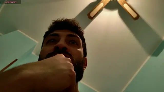 Preview of mark_ariete