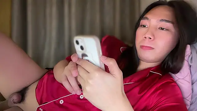 Afbeelding van kat_mire