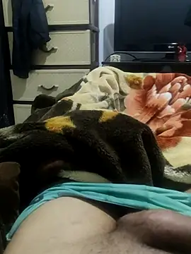 JoyousArray85 webcam