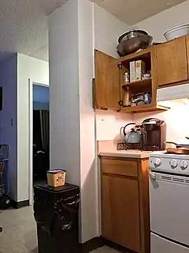 ReallyReallyReal webcam