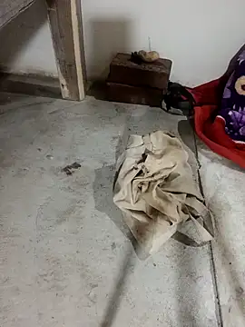 Savita_bhabhi_enjoy webcam