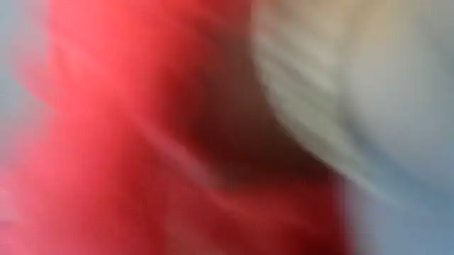 Lusty_N_Busty webcam