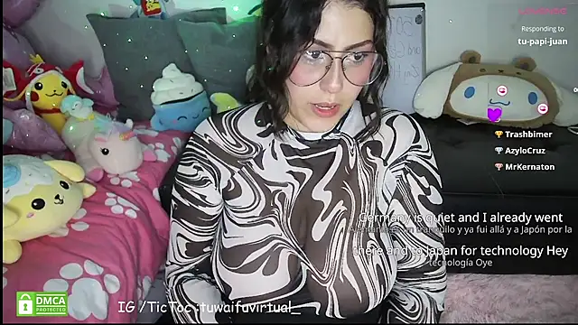 TuWaifuVirtual1 webcam